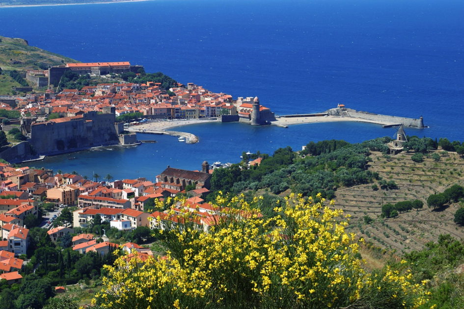 Appellation AOC Collioure