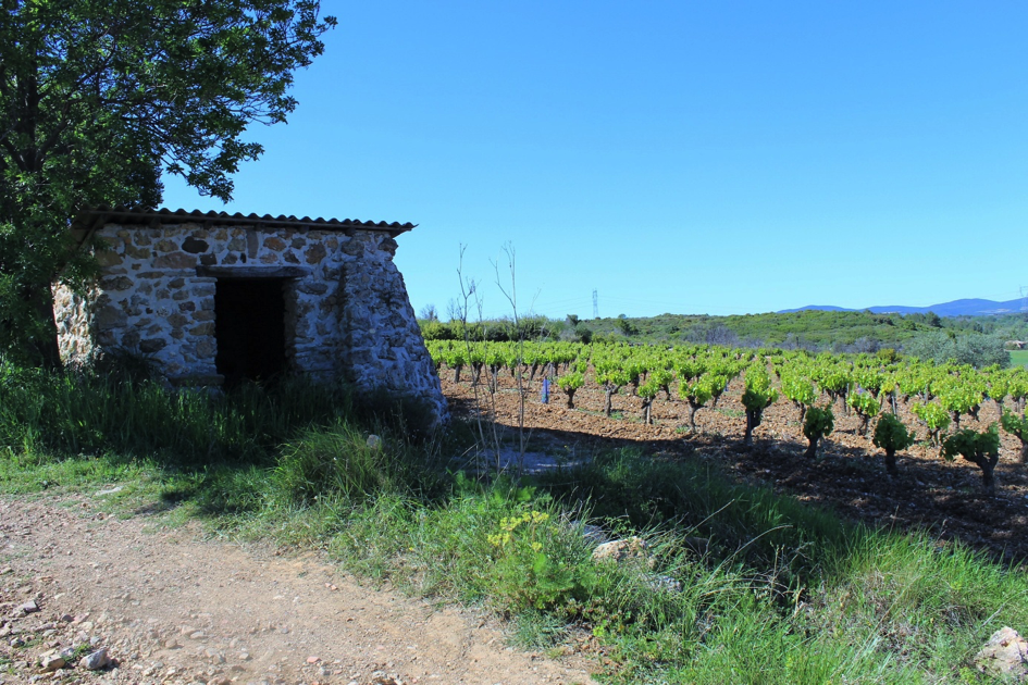 La Font de l'Olivier